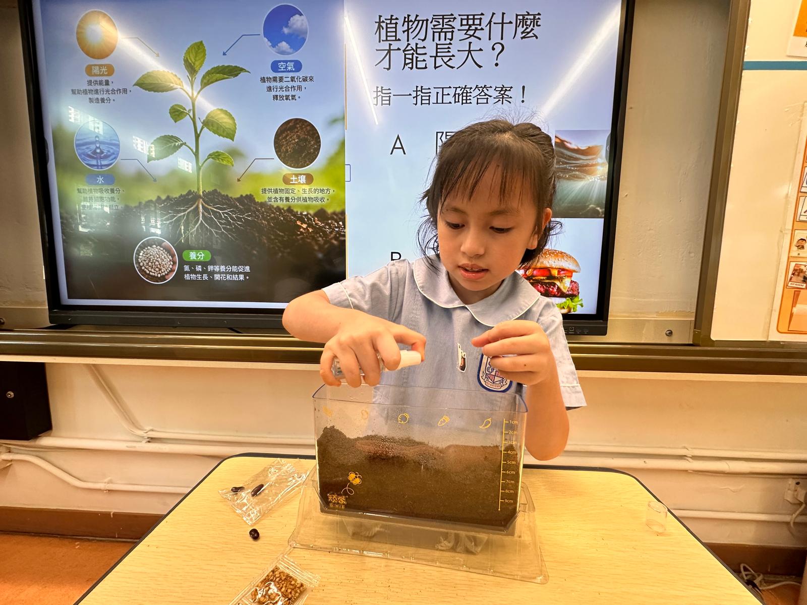 科學科學習活動相片